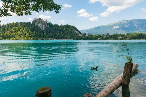Emona Apartments, Bled