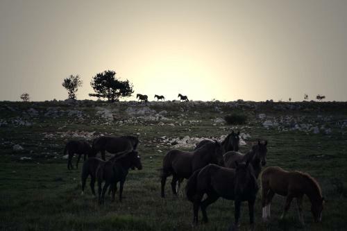 Agroturismo Farm Stay Peternelj