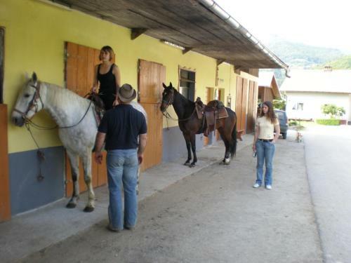 Apartment Pri Bo?tjanovcu