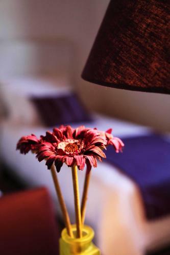 Hostal Apartments Dvor