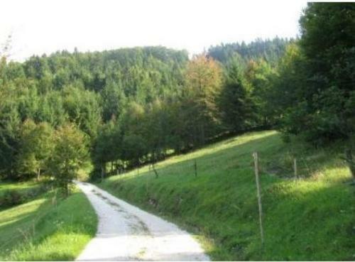 Hostal Gostilna Metka