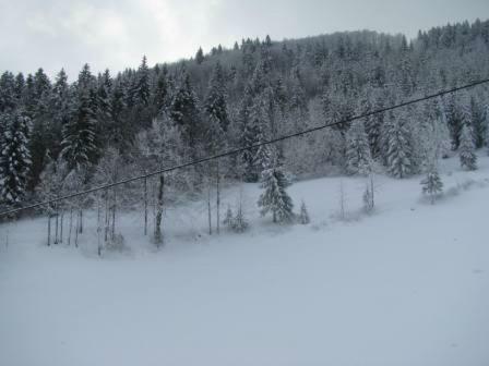 Hostal Gostilna Metka