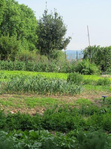 Agroturismo Tourist Farm Arkade