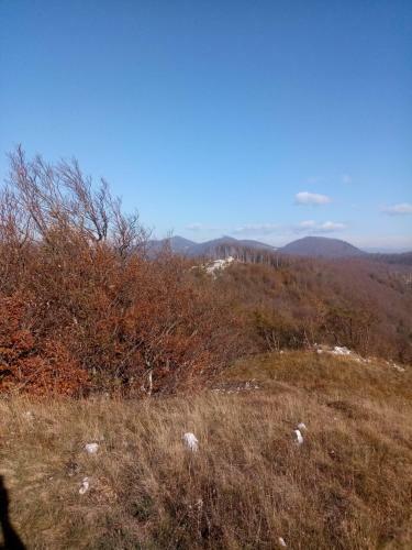 Hostal Gostilna Tratnik