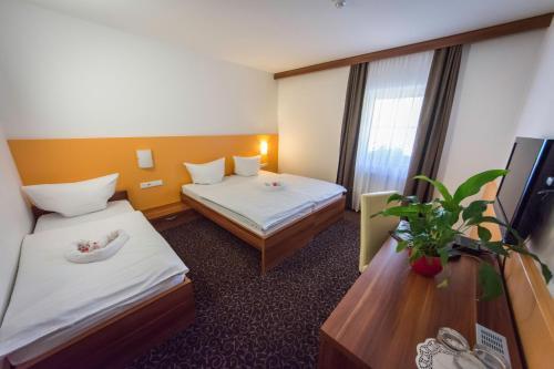 Hostal Penzion Vodnik