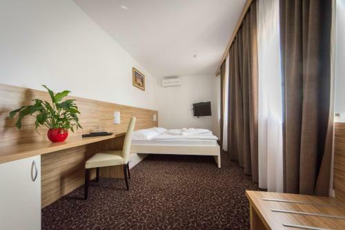 Hostal Penzion Vodnik