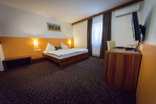 Hostal Penzion Vodnik