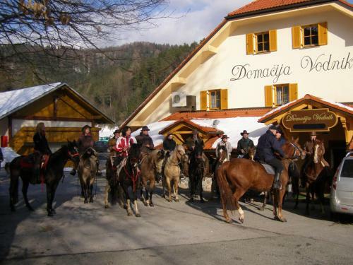 Hostal Penzion Vodnik
