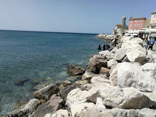Piran Punta Kim Apartment
