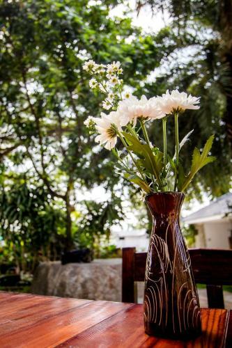 Aparthotel Phu Places