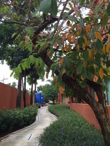 Apartamento Away Las Tortugas Beachfront Condo@hua Hin