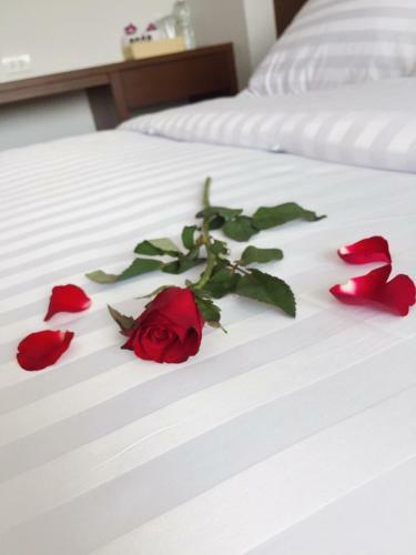 Hotel Nava Grand