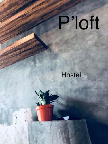 P's Loft Hostel