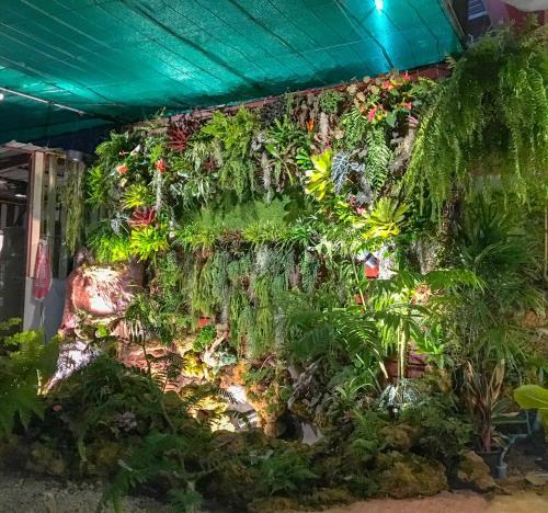 Hostal Bann Ton Kho