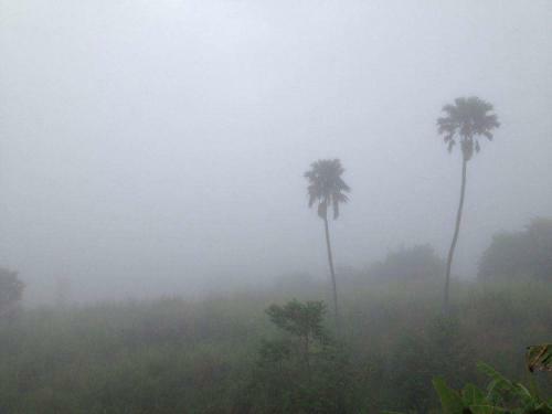 Hotel Thanorm Rak Resort