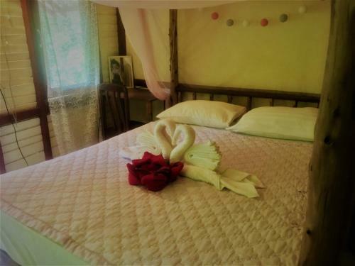 Hostal Secret Place Backpacker
