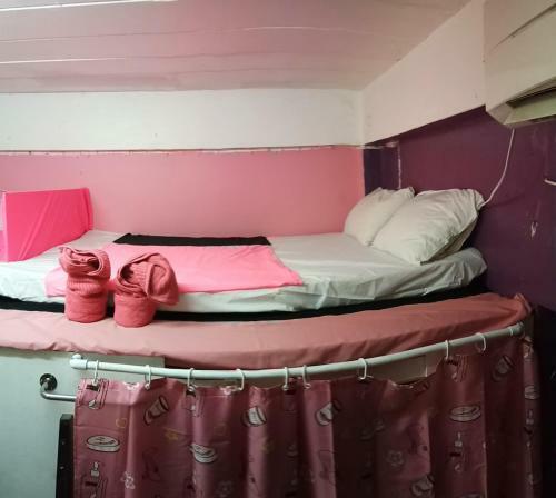 Wild & Wandering Backpacker Hostel & Bar
