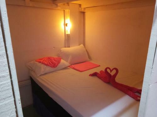 Wild & Wandering Backpacker Hostel & Bar