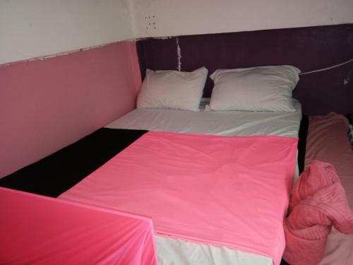 Wild & Wandering Backpacker Hostel & Bar