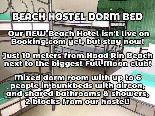 Wild & Wandering Backpacker Hostel & Bar