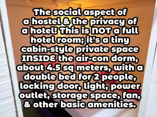 Wild & Wandering Backpacker Hostel & Bar