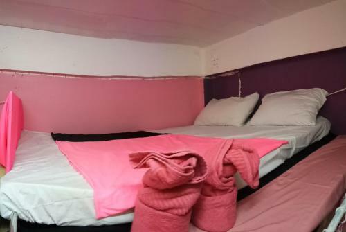 Wild & Wandering Backpacker Hostel & Bar