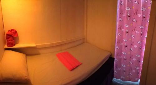Wild & Wandering Backpacker Hostel & Bar