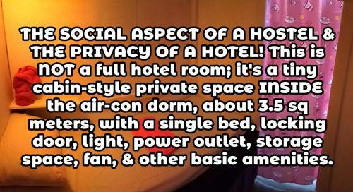 Wild & Wandering Backpacker Hostel & Bar