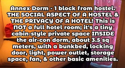 Wild & Wandering Backpacker Hostel & Bar