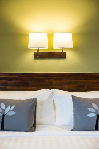 Olive Tree Hotel