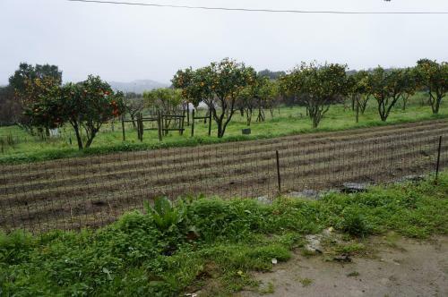 Agroturismo Quinta De S�o Jos� Dos Montes