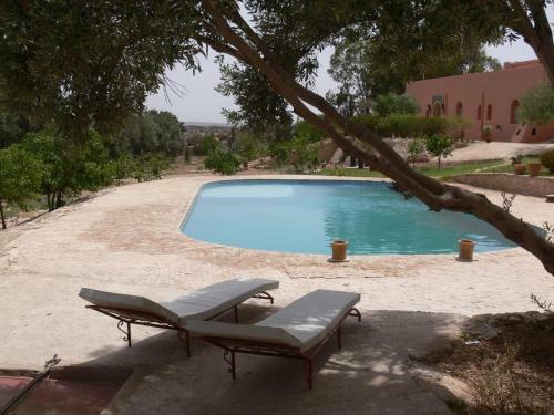 Riad Douar Des Oliviers