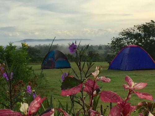 Hotel Khaoyai Nature Retreat