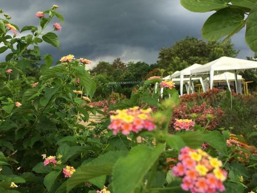 Hotel Khaoyai Nature Retreat