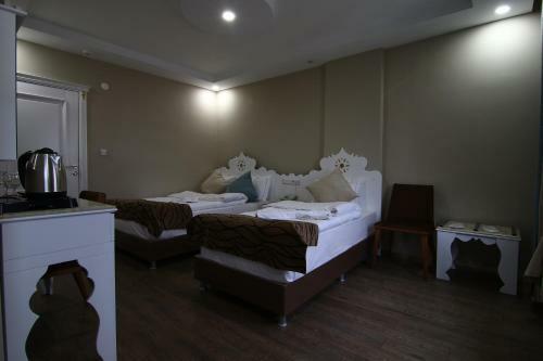 Hotel Kent Ani