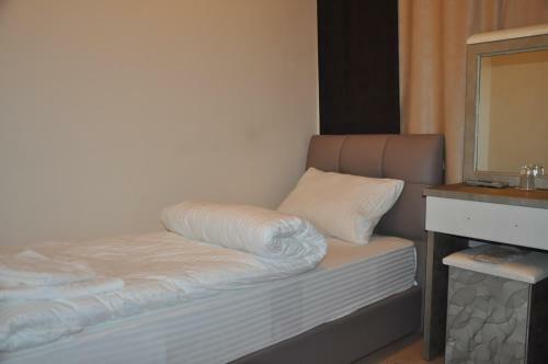 Hotel Kent Ani