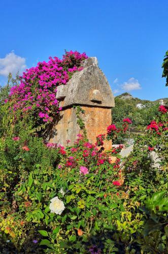 Hostal Baba Veli Pension