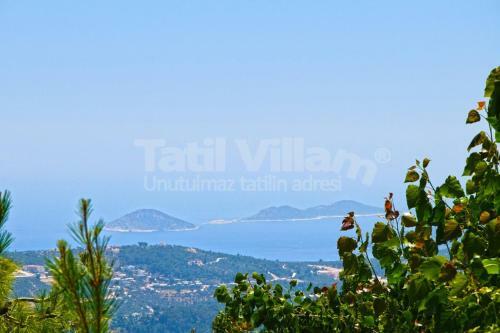 Private Villa Eyfa