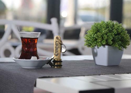 Hotel Seren?ty Apart Otel