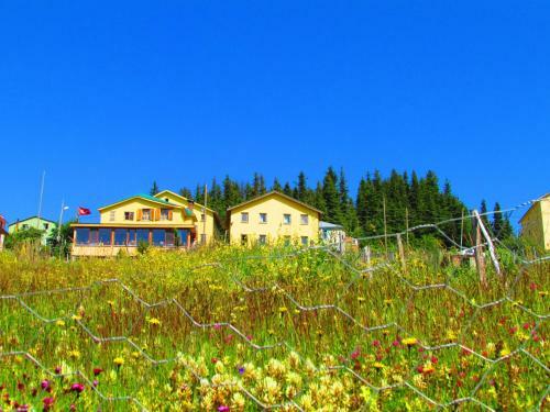 Motel Kumbet Chalet