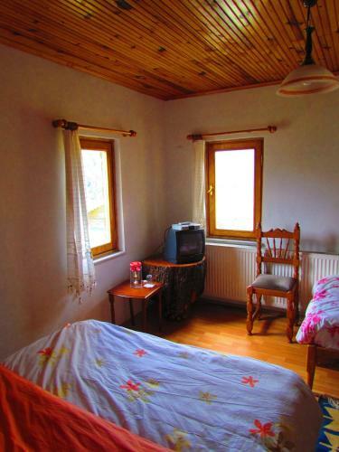 Motel Kumbet Chalet