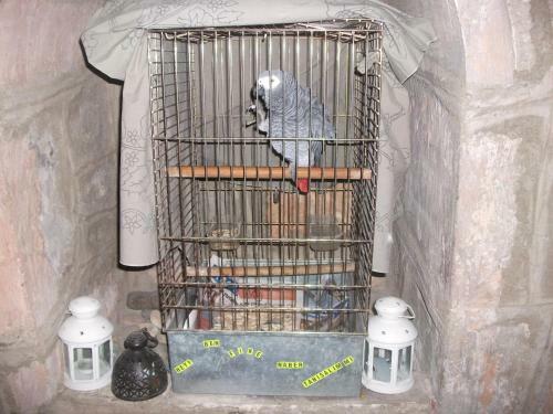 Posada Sebile Han?m Kona??