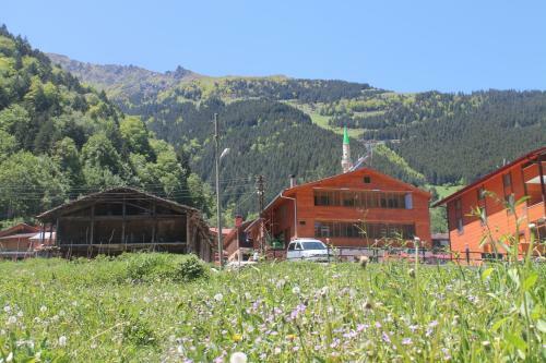 Apartamento Kurtar Suites-1