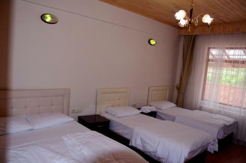 Sen Villa Motel