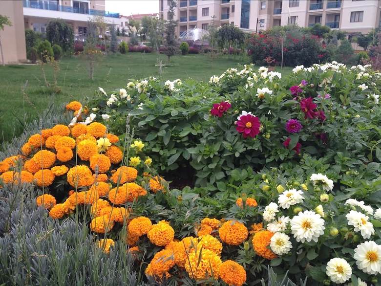 Hotel Grand Ozgul Thermal Holiday Village