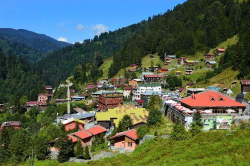 Ayder Villa Gencal