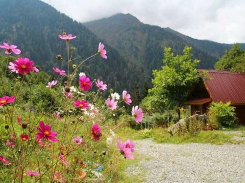 Bed & Breakfast Ayder Selale Dag Evi