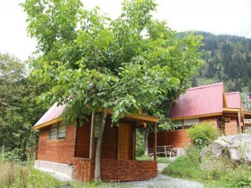 Bed & Breakfast Ayder Selale Dag Evi