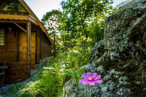 Bed & Breakfast Ayder Selale Dag Evi