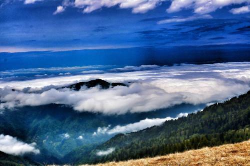 Bed & Breakfast Ayder Umit Hotel